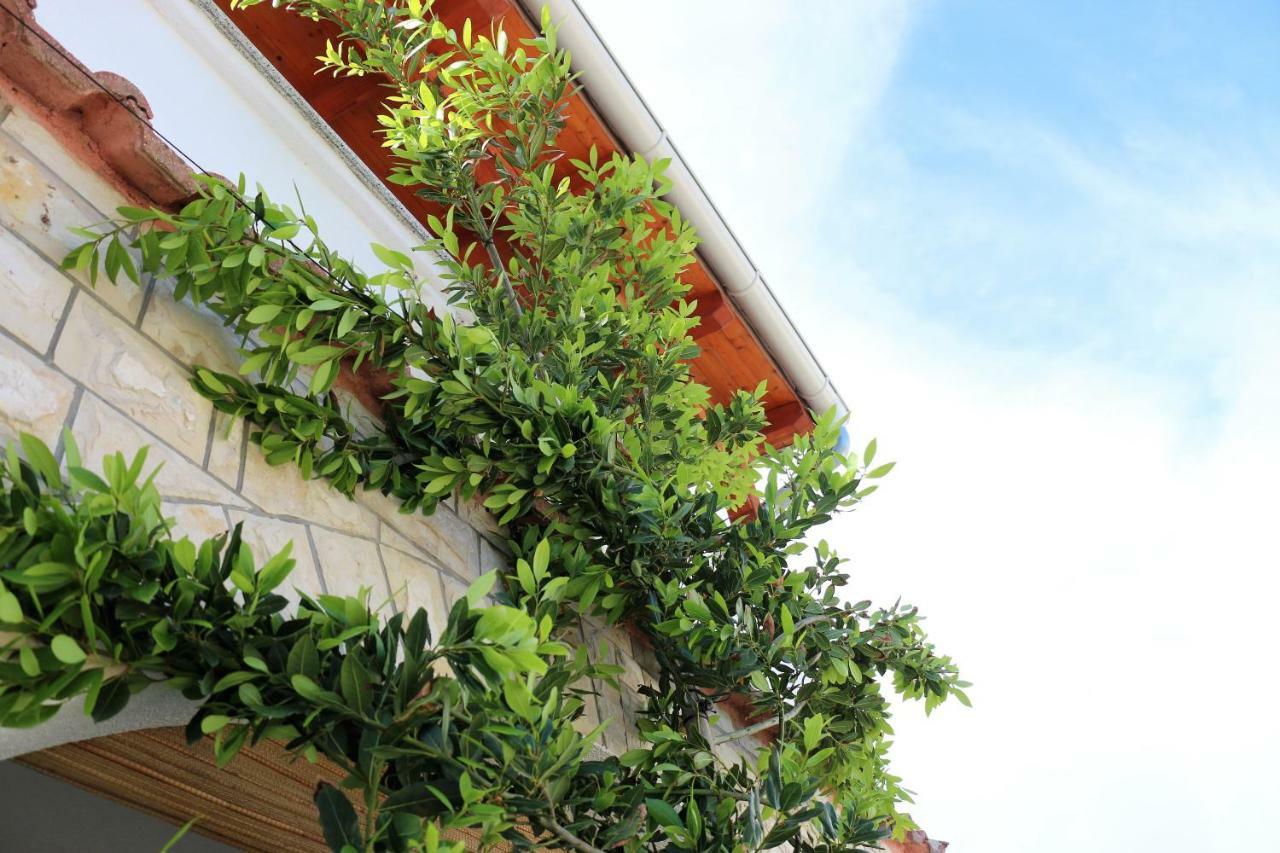 Apartments Vir Delfin Exterior photo